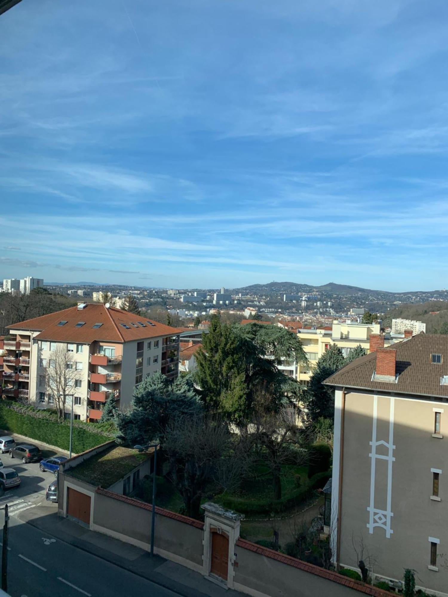 Appartement Le Saint-Irénée à Lyon Extérieur photo